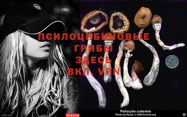 кокаин колумбия Алексин