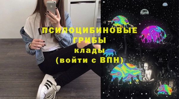 apvp Алзамай