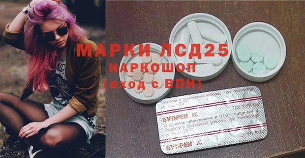 apvp Алзамай