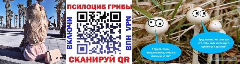 omg ссылка  Удачный  Псилоцибиновые грибы Cubensis  как найти наркотики 